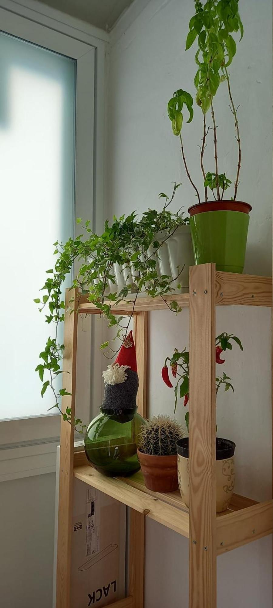 Appartement Lotus à Bari Extérieur photo